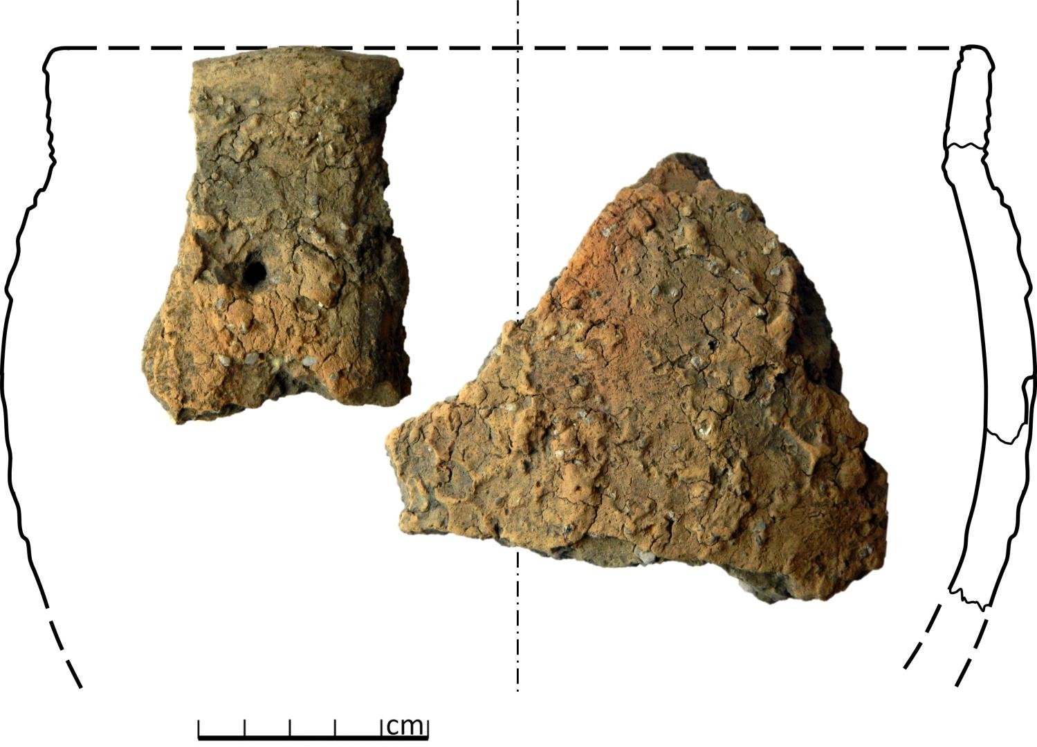 KATALOGS, Nr. 12. foto un zīmējums: B.&nbsp;Dumpe